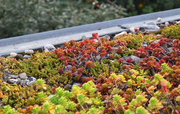 the cost of Derrylin green roof installation