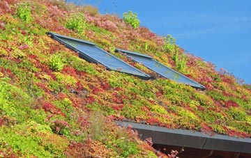 Derrylin living roof systems